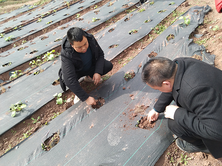 1677749347609503.jpg 圖3.jpg