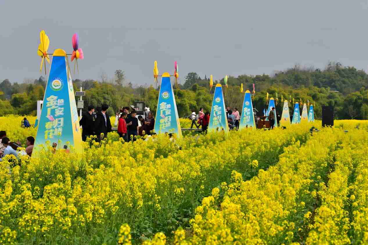 1677989012484505.jpg 112(1).jpg