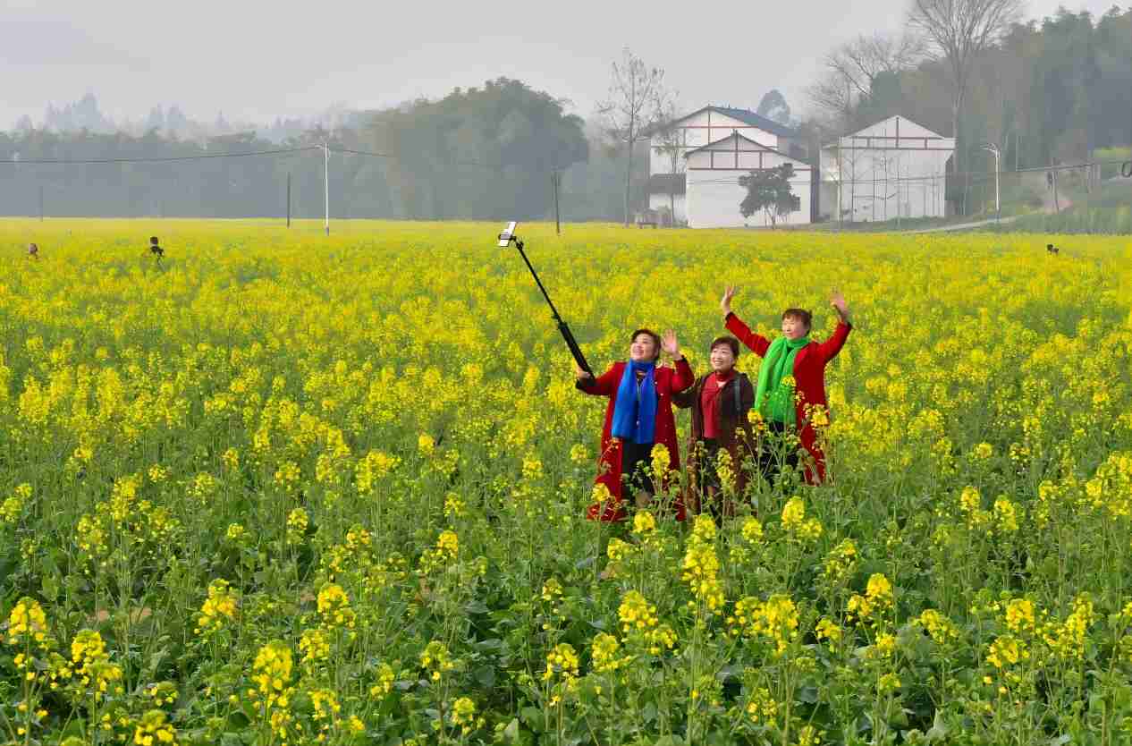 1677989061474783.jpg 114(1).jpg