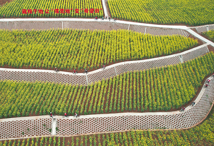 圖1  3月4日，在內(nèi)江市東興區(qū)田家鎮(zhèn)火花村，市民在田間賞花（無人機(jī)照片）.jpg