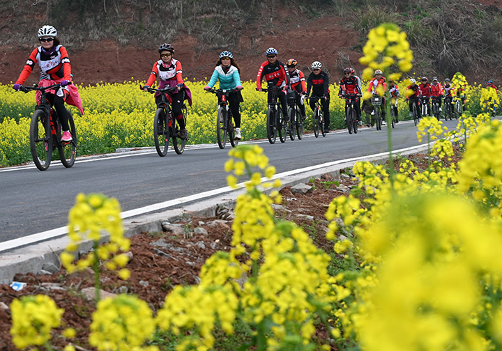 圖2  3月4日，在內(nèi)江市東興區(qū)田家鎮(zhèn)火花村，市民在鄉(xiāng)間公路上騎行.jpg