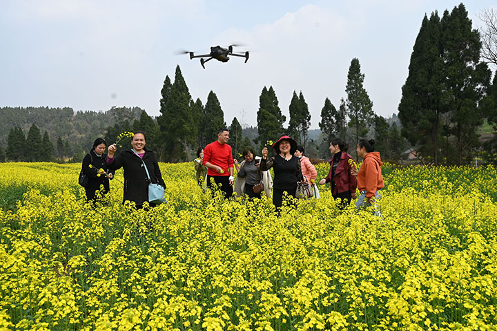 圖2  3月8日，四川省內(nèi)江市東興區(qū)永福鎮(zhèn)盤陀村，游客們?nèi)齼蓛陕角М€油菜花基地，沉醉在迷人的花海里，感受愜意的春日美景.jpg