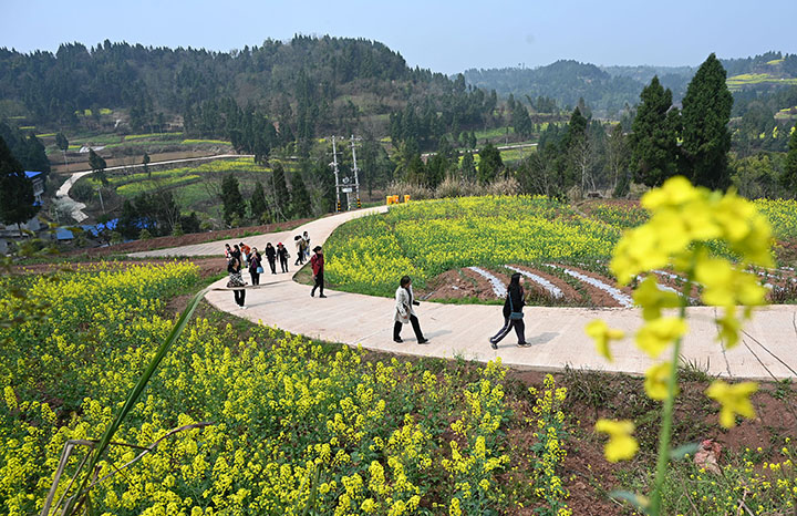 圖5  2023年3月8日，四川省內(nèi)江市東興區(qū)永福鎮(zhèn)盤陀村，遠(yuǎn)處群山環(huán)繞，山腳下村舍依依，游客在千畝油菜花基地打卡游玩.jpg