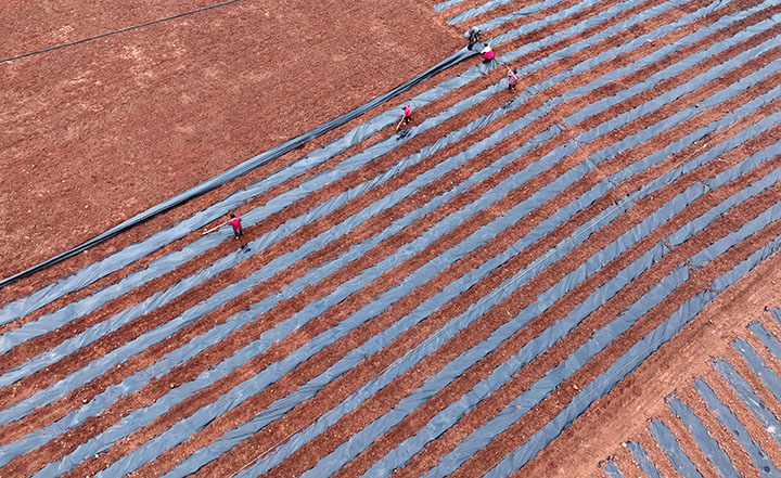 圖3  3月9日，內(nèi)江市東興區(qū)順河鎮(zhèn)觀音洞村，村民在新建成的高標(biāo)準(zhǔn)農(nóng)田里施足底肥，積極備戰(zhàn)春耕.jpg