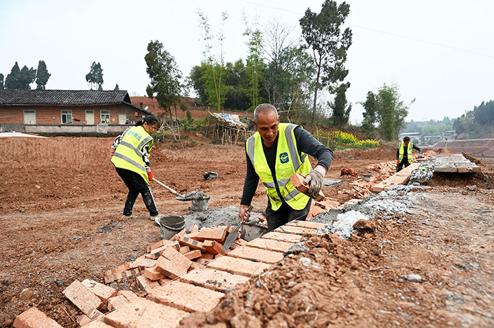 圖4  3月9日，內(nèi)江市東興區(qū)順河鎮(zhèn)觀音洞村高標(biāo)準(zhǔn)農(nóng)田建設(shè)現(xiàn)場(chǎng)，民工正在硬化田埂.jpg
