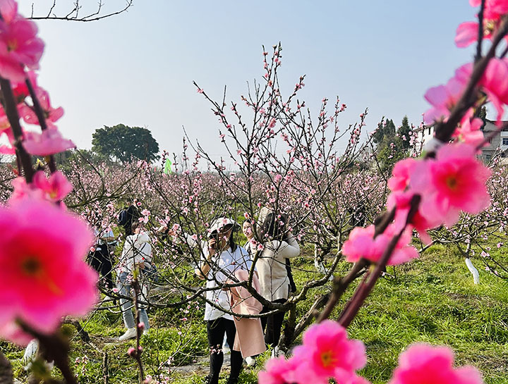 1678716982270554.jpg 微信圖片_20230313160630.jpg