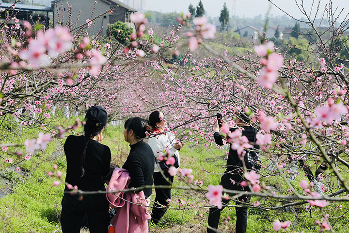 1678717010699231.jpg 微信圖片_20230313160618.jpg