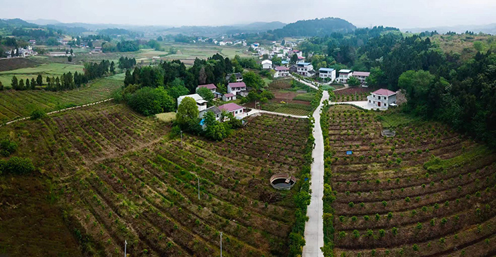 1678777099138655.jpg 微信圖片_202303141414432.jpg