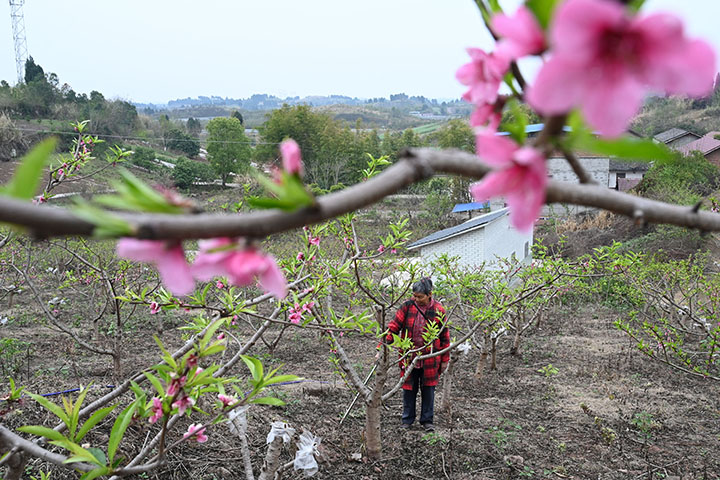 1679457117519094.jpg 1.jpg