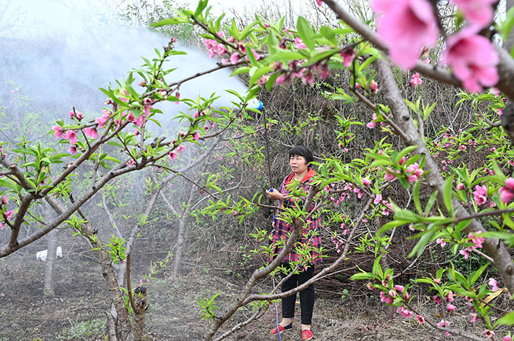 1679457124654453.jpg 3.jpg