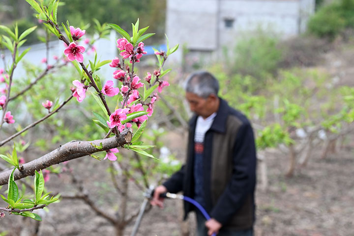 1679457127380320.jpg 4.jpg