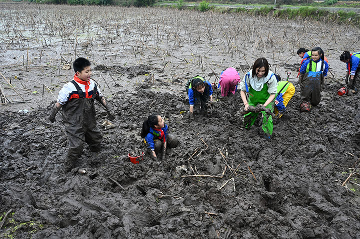 1679457194413664.jpg 1.jpg