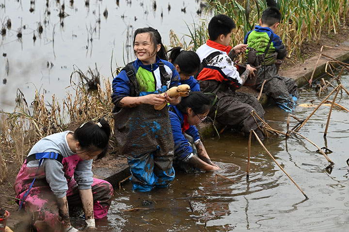 1679457208667951.jpg 4.jpg