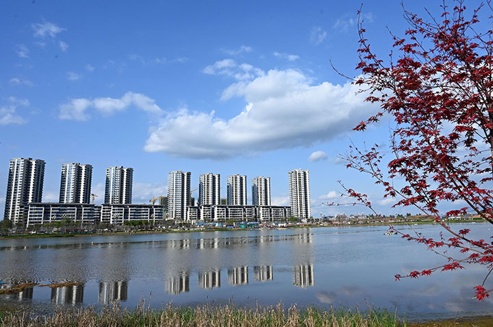 1679910722521532.jpg 5.jpg