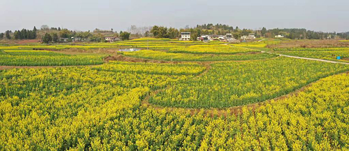 1679973466215037.jpg 微信圖片_202303281104149.jpg