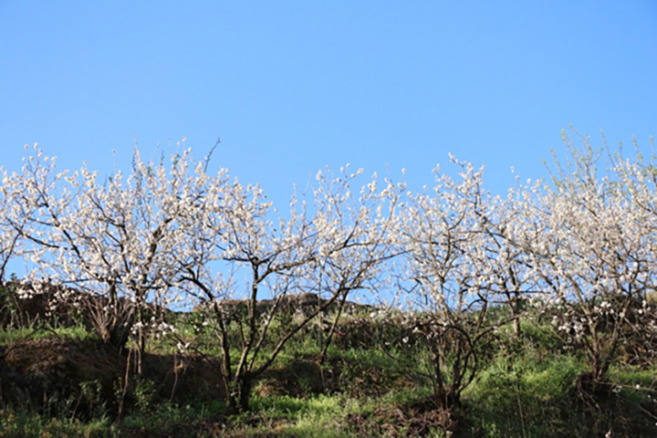 1680576681374588.jpg 1角半村風(fēng)景.jpg
