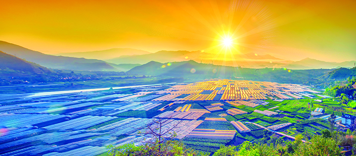 1680594003525121.jpg 2四川省米易縣撒蓮鎮(zhèn)安全村現(xiàn)代農(nóng)業(yè)基地 王東 攝.jpg