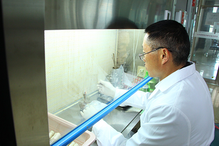 3張文平在實(shí)驗(yàn)室培養(yǎng)菌液  周淼葭 攝.JPG