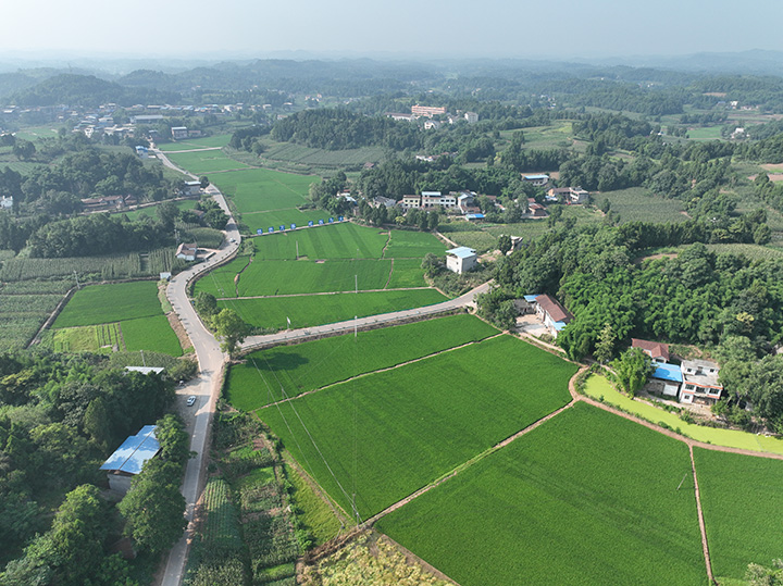 1大英縣糧油現(xiàn)代農(nóng)業(yè)園區(qū)鳥瞰圖  玉峰鎮(zhèn)黨委辦公室供圖.JPG