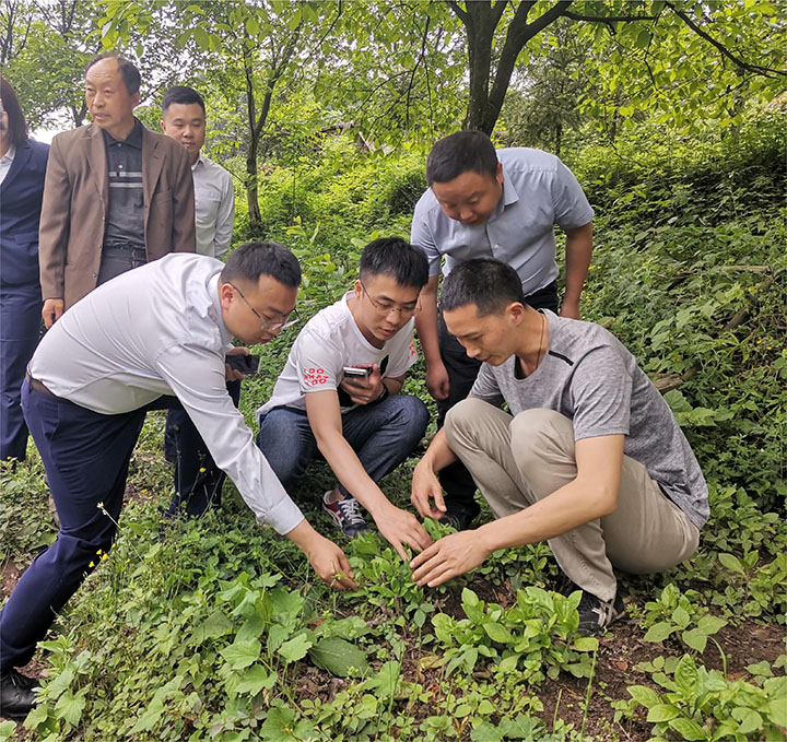 1680838854119923.jpg 4.jpg