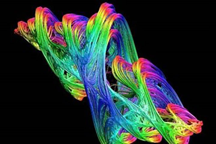 1681263159138011.jpg 圖片4.jpg