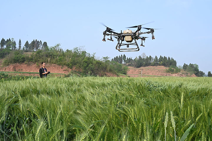 1681377772753195.jpg 4.jpg