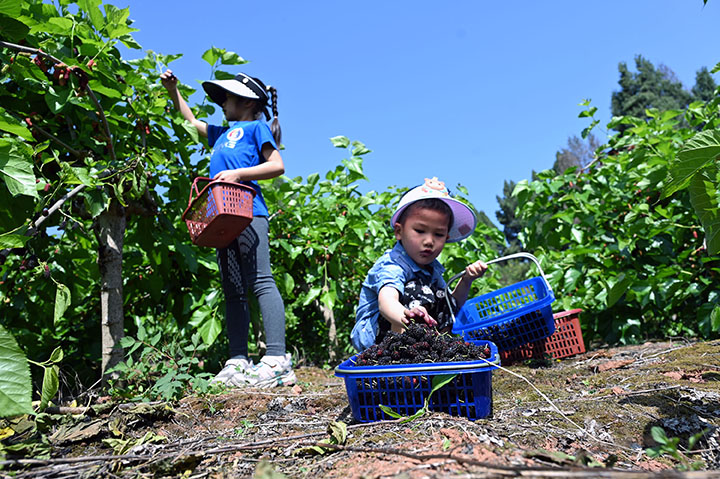 1681724179885630.jpg 圖1.jpg