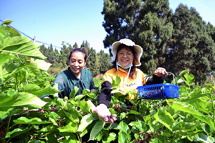 1681724183553585.jpg 圖2.jpg