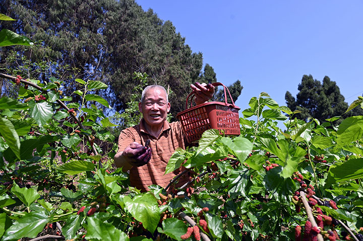 1681724187894218.jpg 圖4.jpg