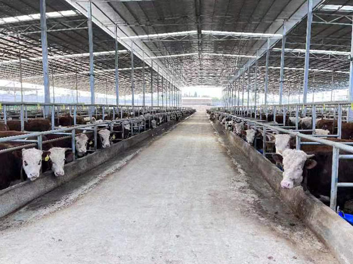 1681724796671794.jpg 微信圖片_202304171745082.jpg