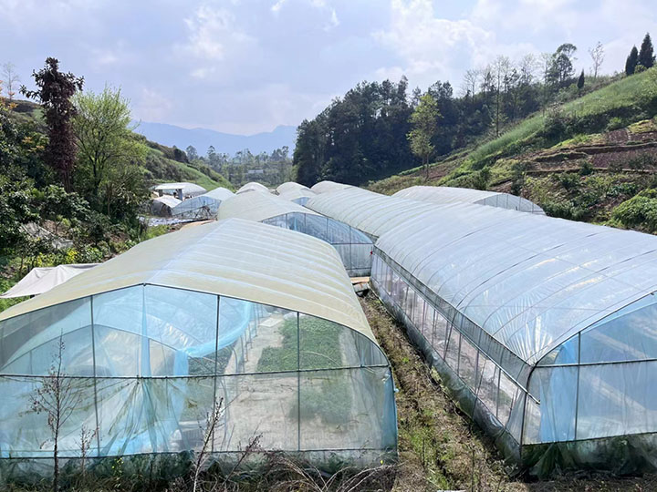 1681724804348709.jpg 微信圖片_202304171745081.jpg