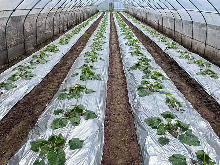 1681724808136213.jpg 微信圖片_20230417174508.jpg