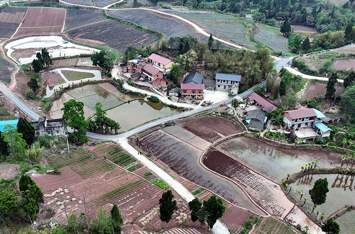 圖2 “五一”期間，內(nèi)江市東興區(qū)郭北鎮(zhèn)青臺村，產(chǎn)村與路網(wǎng)相融的顏值鄉(xiāng)村（無人機照片）。.jpg