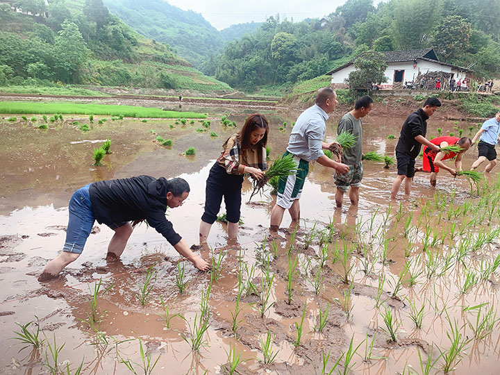 1683195256492795.jpg 2.jpg