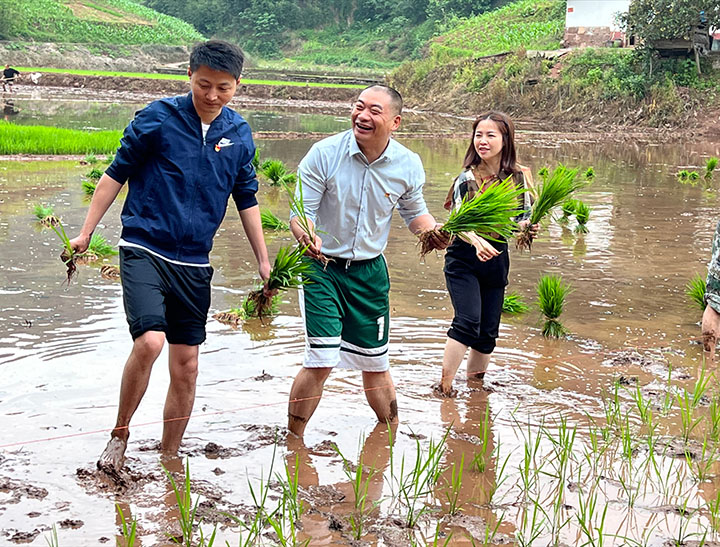 1683195262966942.jpg 3.jpg