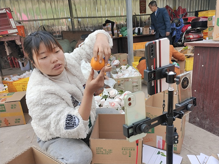 1683796430593180.png 3朱某妻子直播銷(xiāo)售基地柑橘.png