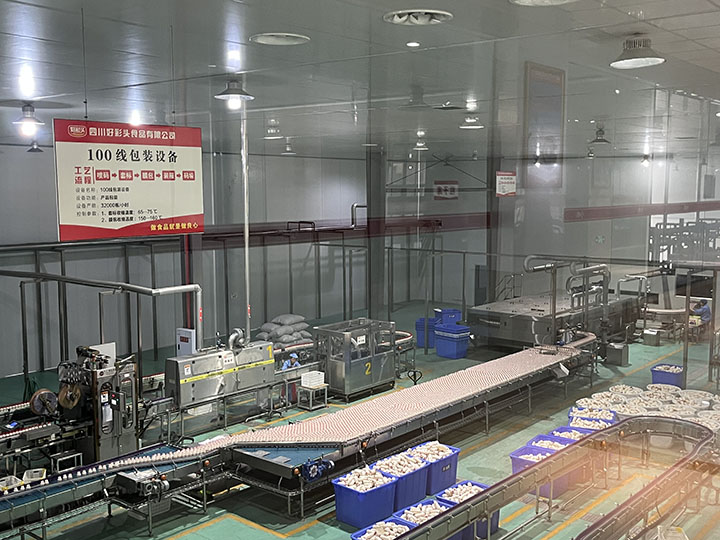 3.四川好彩頭食品有限公司食品生產(chǎn)車(chē)間.jpg
