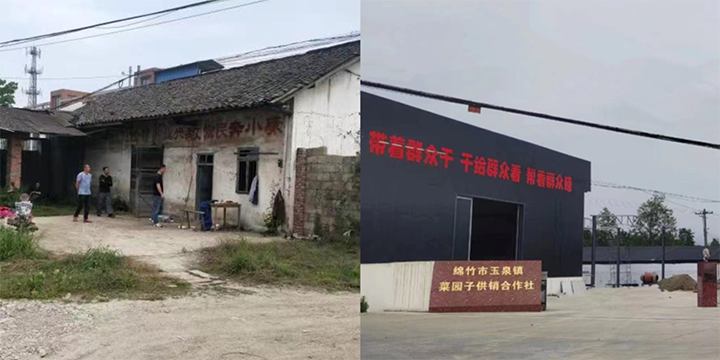 1684141663581841.png 1玉泉鎮(zhèn)食用菌種植基地建成前后的情況對比.png