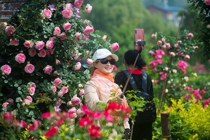 1684421311654946.jpg 7游客在聚興家庭農(nóng)場(chǎng)游玩.jpg