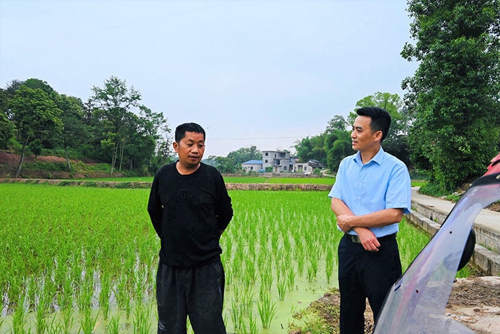 1684421472140393.jpg 1合江農商銀行走訪調研春耕備耕情況.jpg