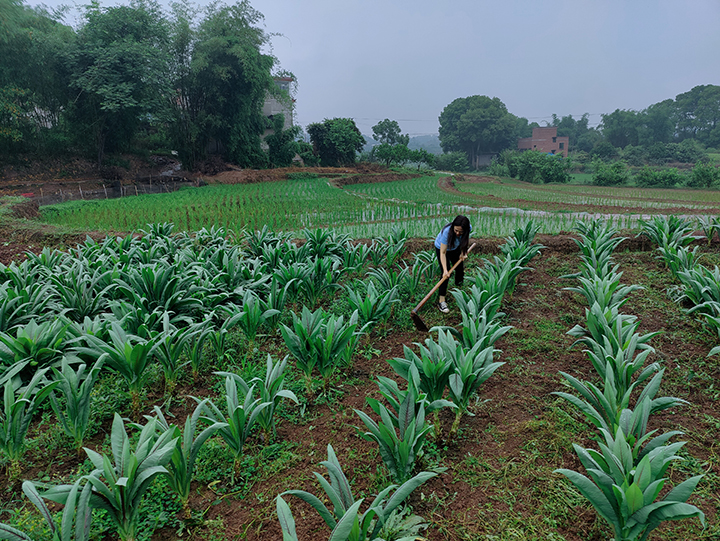 1685083678185481.jpg 3.jpg