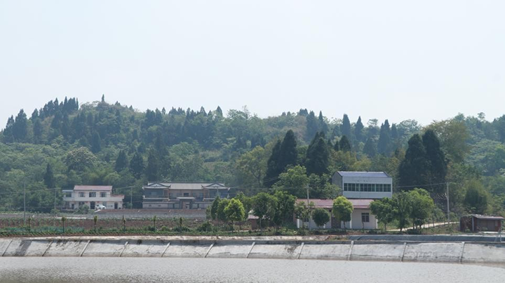 圖5  新廟子村新農村.png