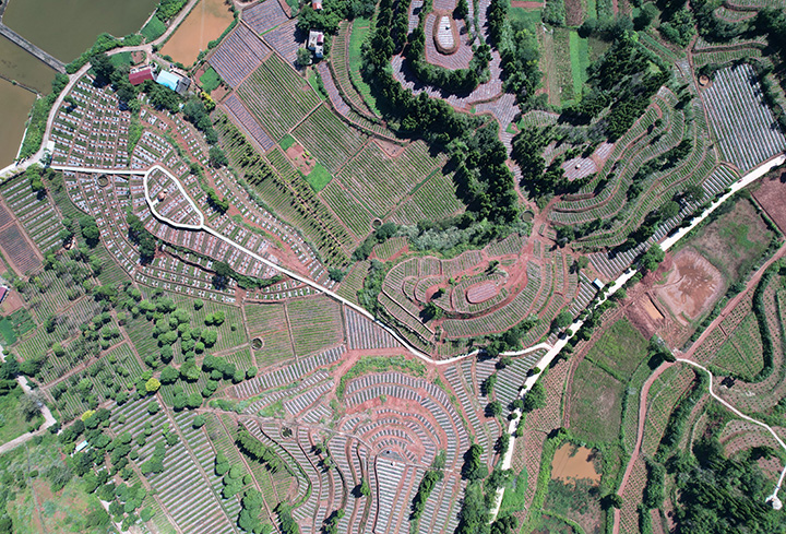 1685952711498788.jpg 3航拍農業(yè)園區(qū)天冬種植基地.jpg