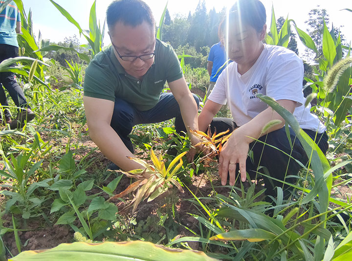 圖4  專家現(xiàn)場(chǎng)指導(dǎo)技術(shù).jpg