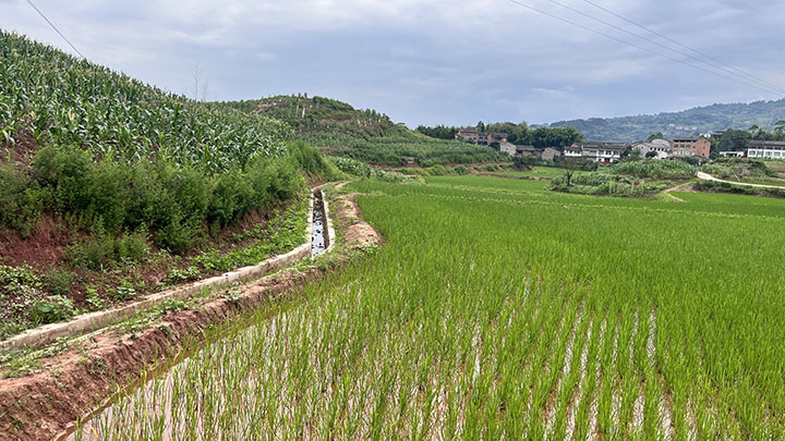 1686731261822926.jpg 圖片1.jpg