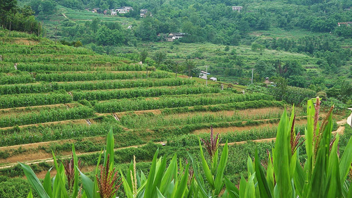 1686731265595785.jpg 圖片2.jpg