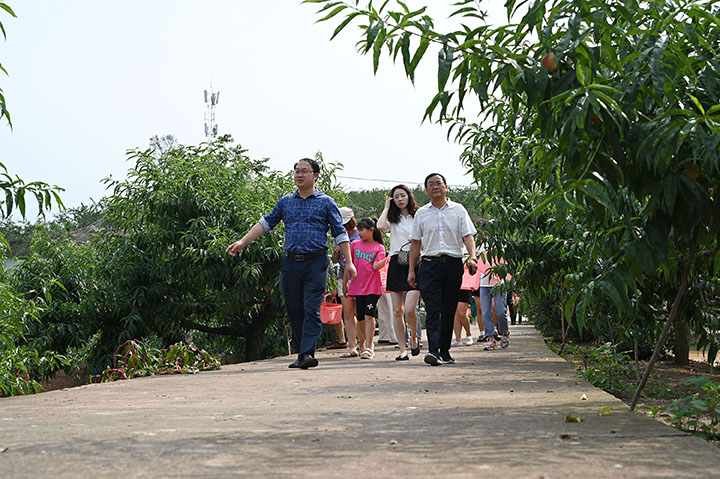 圖2  優(yōu)質桃李吸引了四面八方游客紛至沓來。.jpg