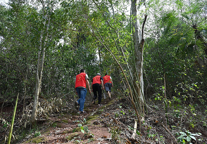 圖2  森林防火員正在管護森林。.jpg