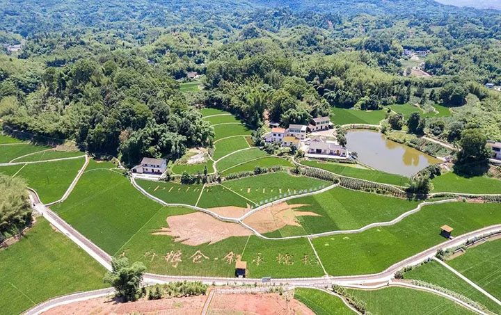 1687334069626446.jpg 2.jpg