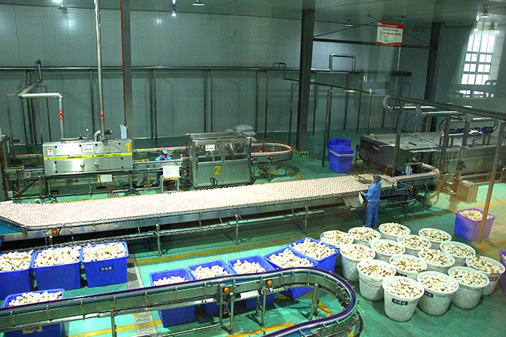 1688524070183334.jpg 3四川好彩頭食品有限公司的生產(chǎn)車間 周淼葭 攝.JPG